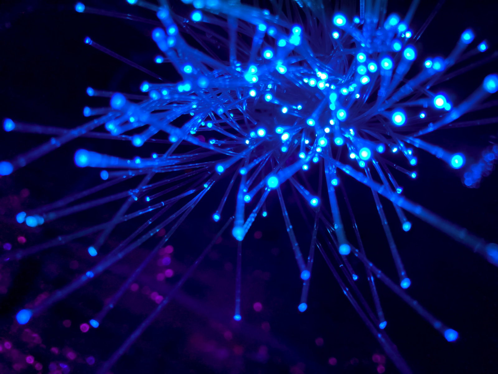 Network pattern